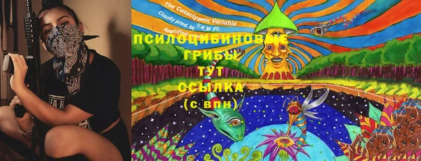 сатива Тайга