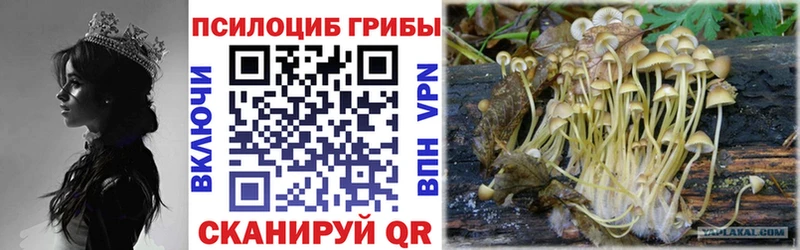 Галлюциногенные грибы Cubensis  Купить где  Апатиты 