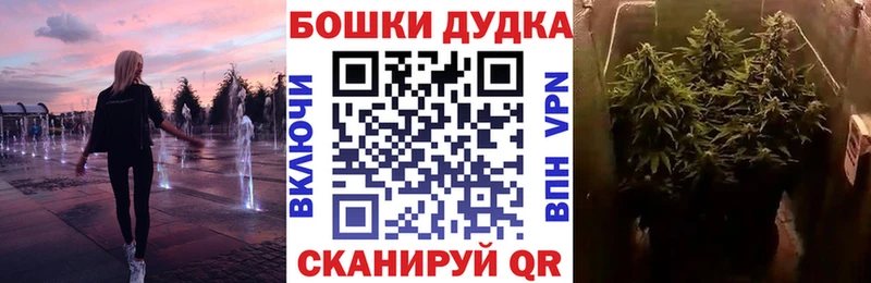 Купить  Апатиты  Шишки марихуана семена 
